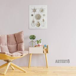 "Artery8 Phaeodaria Amoeba Vintage Haeckel Botanical Canvas Wall Art in White - Size: W18"" x H24""" - thumbnail 3