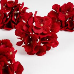 Scottish Everlastings Ltd Set of 6 Hydrangea Christmas Tree clips in Red - thumbnail 3