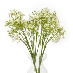 Lemon Pavilion Furniture and Decor Gypsophila (Single Stem Flower) - Plastic - Height 70 cm - Cream in Green - thumbnail 3
