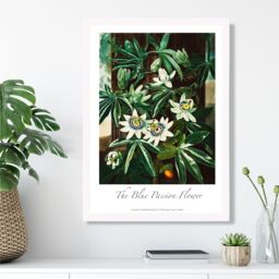 ARTZE Vintage Floral Exhibition - Blue Passion Flower Framed Print SIZE: A2 with White Frame in Green - Size: A4 - thumbnail 2