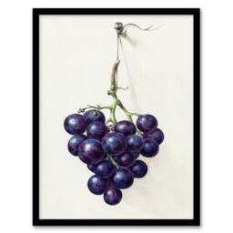 Artery8 Jean Bernard Framed Wall Art Print Bunch of Blue Grapes Oil Painting in White - Size: A4 - thumbnail 1