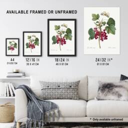 "Artery8 Redcurrant Berries & Butterfly Redoute Vintage Wall Art Print Poster in White - Size: W12"" x H16""" - thumbnail 3