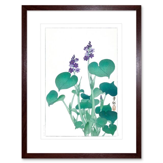 "Artery8 Wall Art Print Blooming Hosta Ohara Koson Art Framed 9x7 inch in Brown - Size: W7"" x H9""" - image 1
