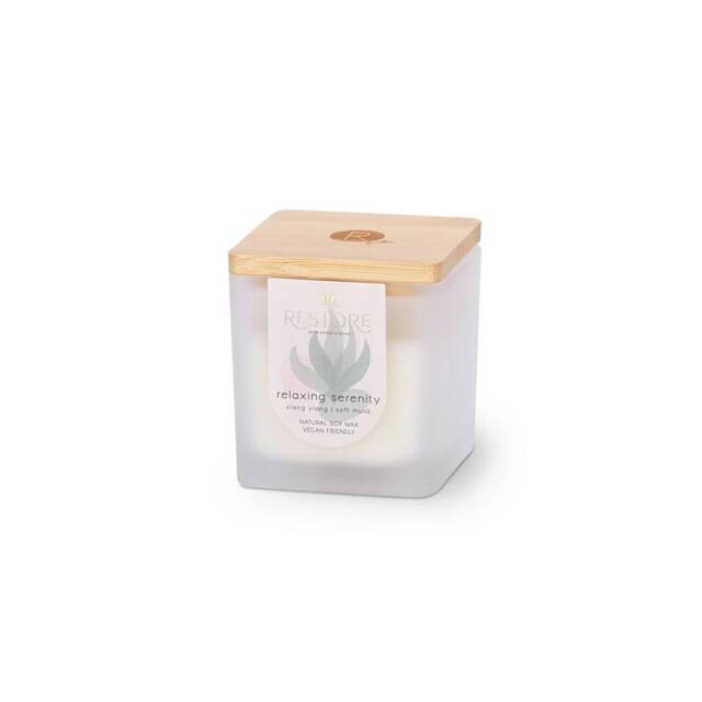 RESTORE Small Soy Wax Candle - Relaxing Serenity in Cool White - image 1