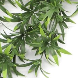 Leaf Artificial Hanging Trailing Plant UV Fire Resistant Fronded Thyme 70cm Pack of 6 in Green - thumbnail 4