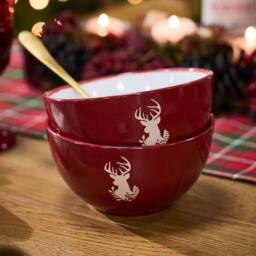 Dibor 6 Piece Red Plates & Bowls Reindeer Christmas Dinner Set 2 Person Christmas Crockery Set - thumbnail 4