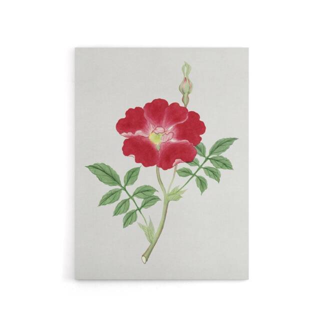 "Artery8 Red Flower Canvas Wall Art Print Vintage Japanese Botanical - Size: W18"" x H24""" - image 1