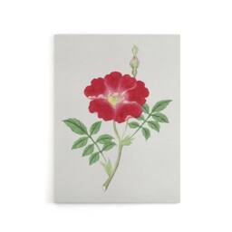 "Artery8 Red Flower Canvas Wall Art Print Vintage Japanese Botanical - Size: W18"" x H24""" - thumbnail 1