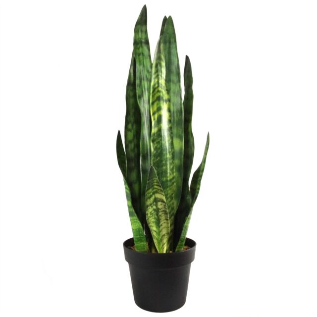 Leaf Artificial Plant Tropical Snake Plant Zeylanica Sansevieria 70cm Sansevieria Botanik in Green - image 1