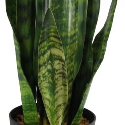Leaf Artificial Plant Tropical Snake Plant Zeylanica Sansevieria 70cm Sansevieria Botanik in Green - thumbnail 2