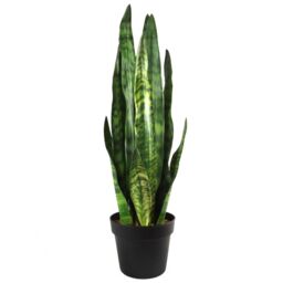 Leaf Artificial Plant Tropical Snake Plant Zeylanica Sansevieria 70cm Sansevieria Botanik in Green - thumbnail 1