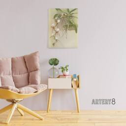 "Artery8 Frederick Sander Angraecum Caudatum Orchid Flowers Canvas Art Print - Size: W12"" x H16""" - thumbnail 3
