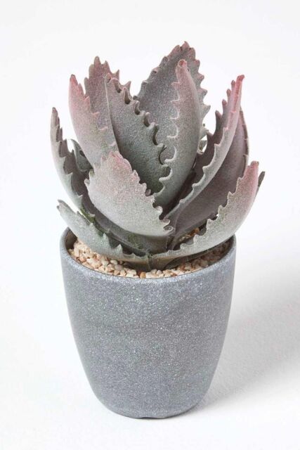 Homescapes Purple & Green Aloe Vera Artificial Succulent in Grey Pot - image 1