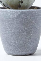 Homescapes Purple & Green Aloe Vera Artificial Succulent in Grey Pot - thumbnail 4
