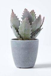 Homescapes Purple & Green Aloe Vera Artificial Succulent in Grey Pot - thumbnail 6