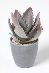 Homescapes Purple & Green Aloe Vera Artificial Succulent in Grey Pot - thumbnail 1