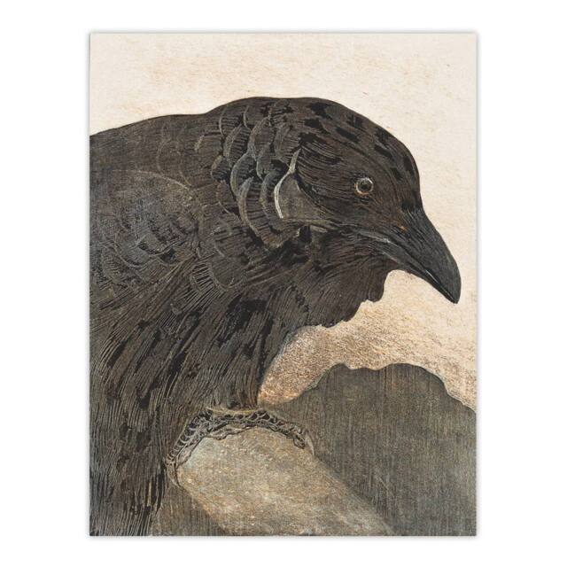 "Artery8 Old Crow Bird Painting Vintage Wall Art Print van Hoytema in Brown - Size: W18"" x H24""" - image 1