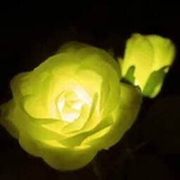 Havendro Yellow Solar Power LED 5 Head Rose Flower Stake Lights Garden - thumbnail 3