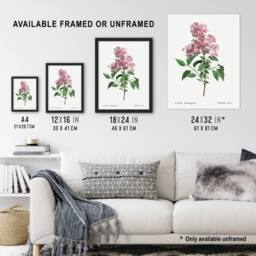"Artery8 Chinese Lilac Floral Redoute Vintage Framed Wall Art Print in White - Size: W12"" x H16""" - thumbnail 3