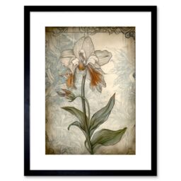 "Artery8 Wall Art Print Single Orchid Flower Pastel Colour Art Nouveau Artwork Framed 9X7 Inch in Black - Size: W7"" x H9""" - thumbnail 1