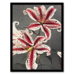 Artery8 Pink Spotted Lily Flower Blooms Vintage Framed Wall Art Print Kazumasa - Size: A4 - thumbnail 1