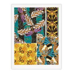 "Artery8 Colourful Vintage Butterfly Pattern Vintage Wall Art Print Seguy - Size: W12"" x H16""" - thumbnail 1