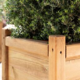 Primrose Wooden Tapered Pine Planter Raised Cube Garden Pot Liz Frances 55cm in Natural - thumbnail 2