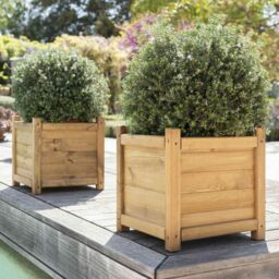 Primrose Wooden Tapered Pine Planter Raised Cube Garden Pot Liz Frances 55cm in Natural - thumbnail 1