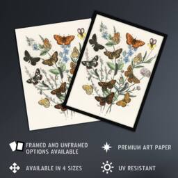 "Artery8 Butterflies & Caterpillars Kirby Vintage Wall Art Print Poster in White - Size: W12"" x H16""" - thumbnail 2