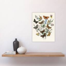 "Artery8 Butterflies & Caterpillars Kirby Vintage Wall Art Print Poster in White - Size: W12"" x H16""" - thumbnail 4