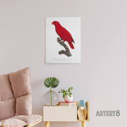 "Artery8 The Cardinal Lory Parrot Francois Levaillant Canvas Wall Art Print in White - Size: W12"" x H16""" - thumbnail 3