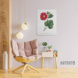 "Artery8 Francis Sansom Alcea Rosea Vintage Illustration Canvas Wall Art Print in White - Size: W12"" x H16""" - thumbnail 3