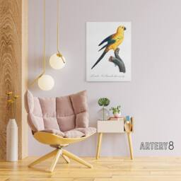 "Artery8 Female Sun Parakeet Bird Francois Levaillant Canvas Wall Art Print in White - Size: W12"" x H16""" - thumbnail 3