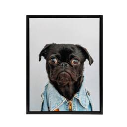 "Artery8 Deluvio Pug Puppy Dog In Jacket Framed Canvas Wall Art Print in Light Grey - Size: W12"" x H16""" - thumbnail 1