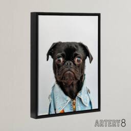 "Artery8 Deluvio Pug Puppy Dog In Jacket Framed Canvas Wall Art Print in Light Grey - Size: W12"" x H16""" - thumbnail 2