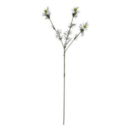 Lemon Pavilion Furniture and Decor The Natural Garden Collection Nigella Love In A Mist - White - thumbnail 1