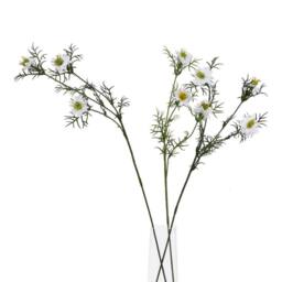 Lemon Pavilion Furniture and Decor The Natural Garden Collection Nigella Love In A Mist - White - thumbnail 3