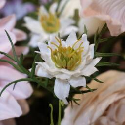 Lemon Pavilion Furniture and Decor The Natural Garden Collection Nigella Love In A Mist - White - thumbnail 4