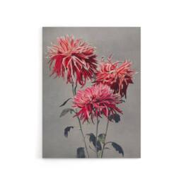 "Artery8 Pink Chrysanthemum Flowers Canvas Wall Art Print Ogawa Kazumasa - Size: W18"" x H24""" - thumbnail 1