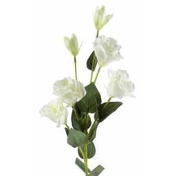 Leaf 80cm Pack of 6 x Artificial White Wild Rose Stem 36 Flowers - thumbnail 8