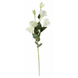 Leaf 80cm Pack of 6 x Artificial White Wild Rose Stem 36 Flowers - thumbnail 5