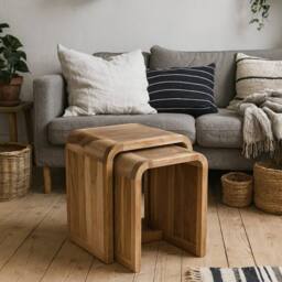 Wyld Haus Los Angeles Reclaimed Wood Nesting Tables Set of 2 in Brown - thumbnail 2