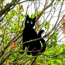VOGREX 3X Garden Cat Silhouette, Marble Eyes Bird Scarer Black - thumbnail 4