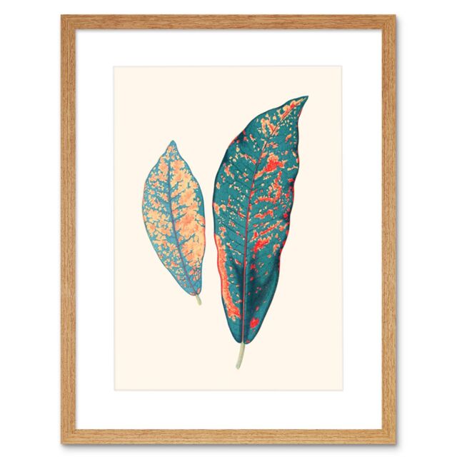 "Artery8 Wall Art Print Primary Coloured Exotic Leaves Art Black Framed 9x7 inch in Beige - Size: W7"" x H9""" - image 1