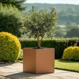 Access Garden Products 50cm Zinc Galvanised Copper Square Planter