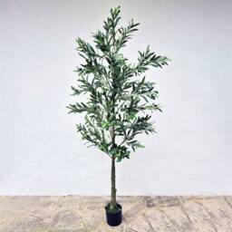 Voltico Artificial Olive Tree in Pot 175cm Realistic Faux Plant in Green - thumbnail 3