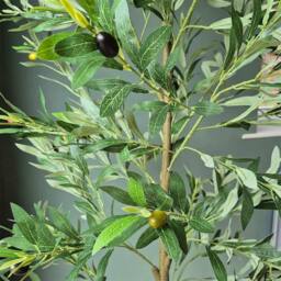 Voltico Artificial Olive Tree in Pot 175cm Realistic Faux Plant in Green - thumbnail 4