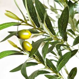 Voltico Artificial Olive Tree in Pot 175cm Realistic Faux Plant in Green - thumbnail 6