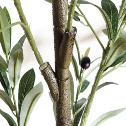 Voltico Artificial Olive Tree in Pot 175cm Realistic Faux Plant in Green - thumbnail 7