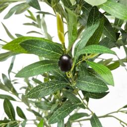 Voltico Artificial Olive Tree in Pot 175cm Realistic Faux Plant in Green - thumbnail 5